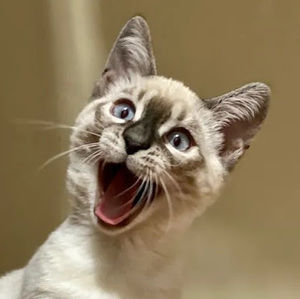 Meet your Posher, Meagan